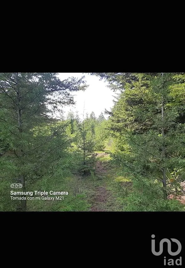 Terreno en Venta en Buenavista, Jilotepec, México | NEX-294261 | iad México | Foto 9 de 11