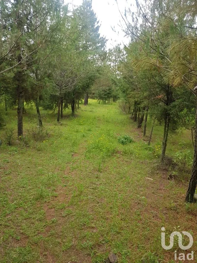 Terreno en Venta en Buenavista, Jilotepec, México | NEX-294261 | iad México | Foto 1 de 11