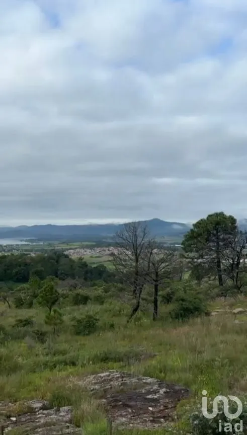 Terreno en Venta en Tapalpa, Tapalpa, Jalisco | NEX-246687 | iad México | Foto 5 de 9