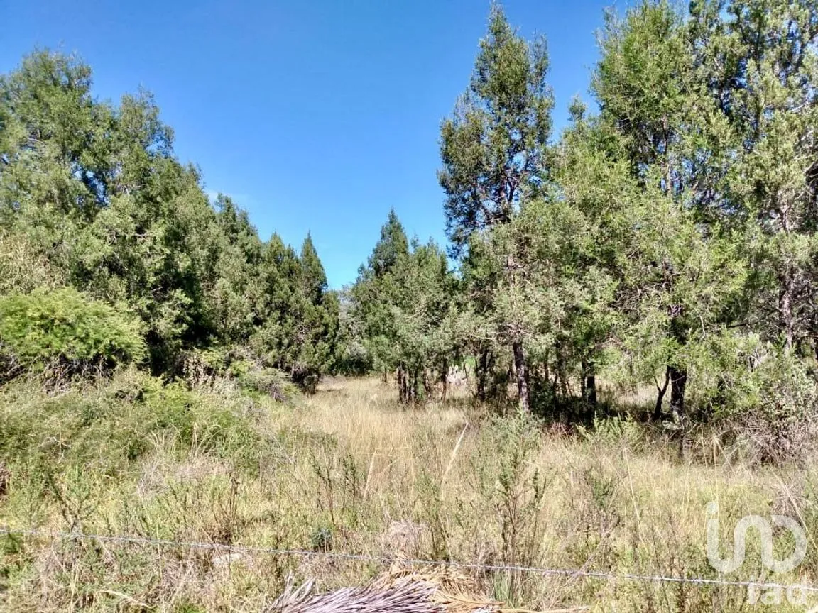 Terreno en Venta en Santa Anita Huiloac, Apizaco, Tlaxcala | NEX-280905 | iad México | Foto 2 de 6