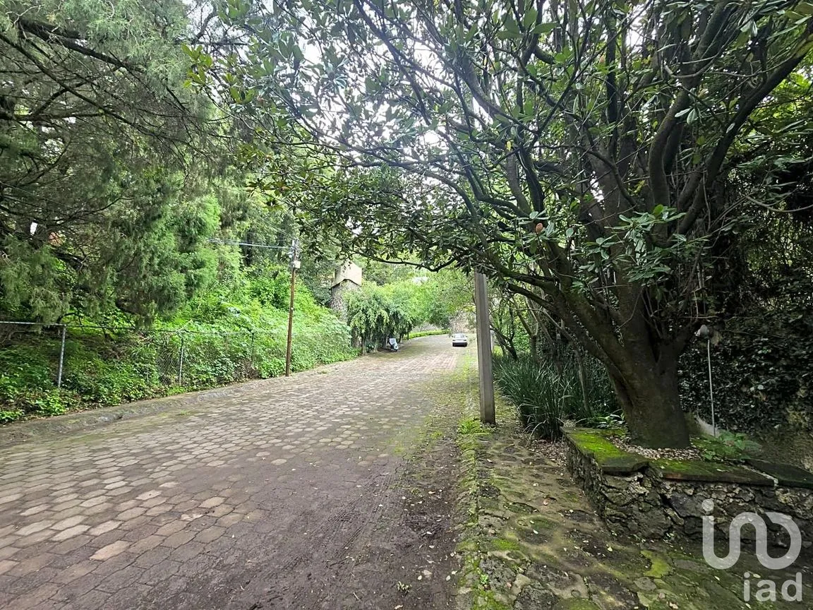 Terreno en Venta en Los Limoneros, Cuernavaca, Morelos | NEX-254622 | iad México | Foto 4 de 6
