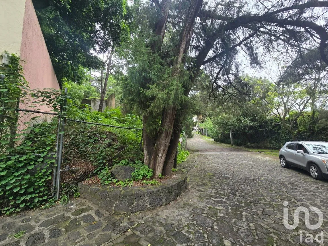Terreno en Venta en Los Limoneros, Cuernavaca, Morelos | NEX-254622 | iad México | Foto 6 de 6