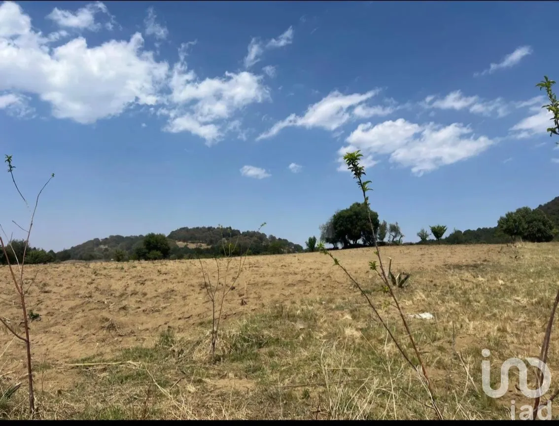 Terreno en Venta en Tlalpan, Tlalpan, Ciudad de México | NEX-287353 | iad México | Foto 5 de 11
