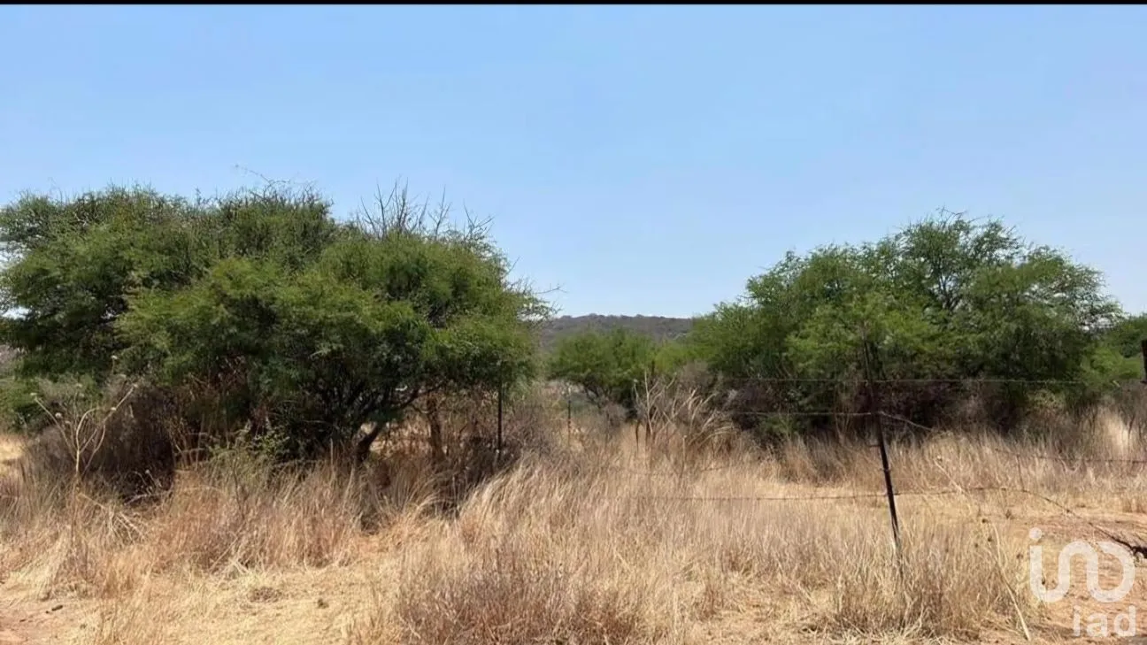 Terreno en Venta en Nogales, Colón, Querétaro | NEX-291837 | iad México | Foto 11 de 12