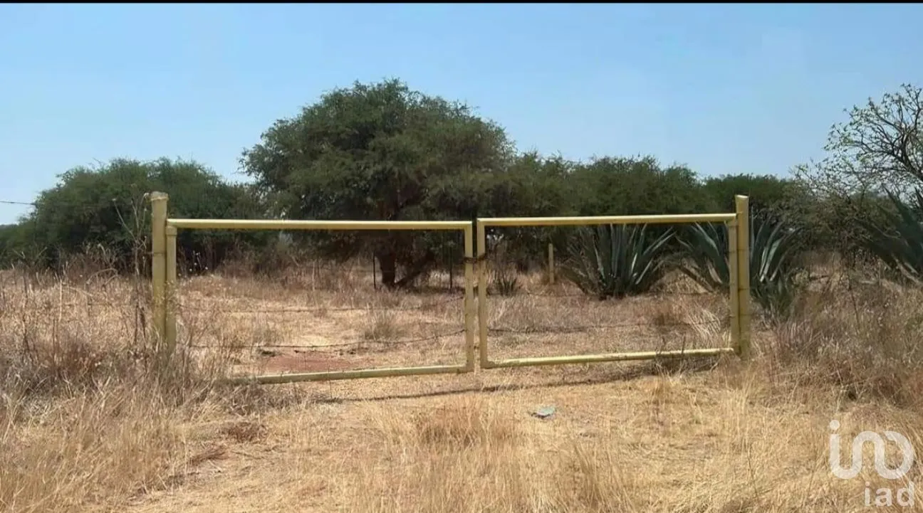 Terreno en Venta en Nogales, Colón, Querétaro | NEX-291837 | iad México | Foto 10 de 12