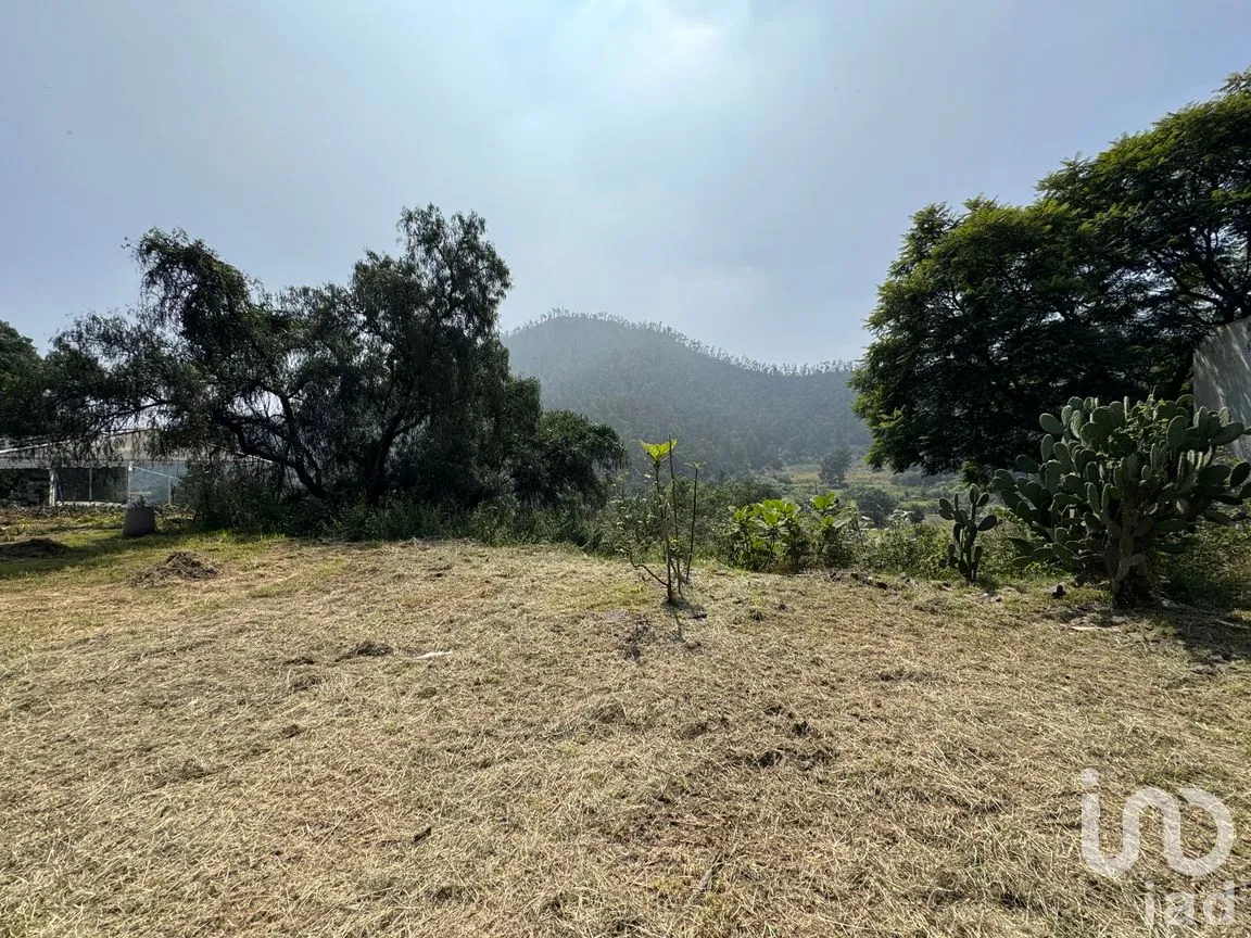 Terreno en Venta en Santa María Tepepan, Xochimilco, Ciudad de México | NEX-245003 | iad México | Foto 3 de 5