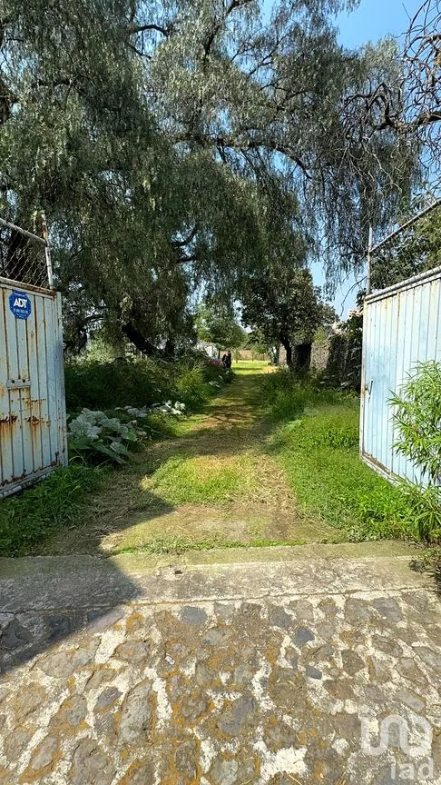 Terreno en Venta en Santa María Tepepan, Xochimilco, Ciudad de México | NEX-245003 | iad México | Foto 5 de 5