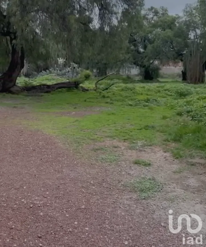 Terreno en Venta en Atempa, Tizayuca, Hidalgo | NEX-290004 | iad México | Foto 4 de 11