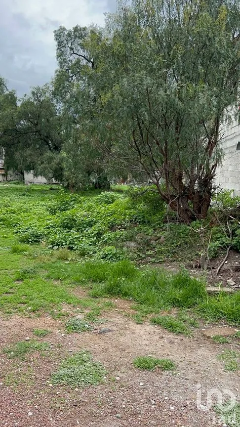 Terreno en Venta en Atempa, Tizayuca, Hidalgo | NEX-290004 | iad México | Foto 8 de 11