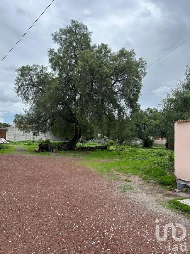 Terreno en Venta en Atempa, Tizayuca, Hidalgo | NEX-290004 | iad México | Foto 9 de 11