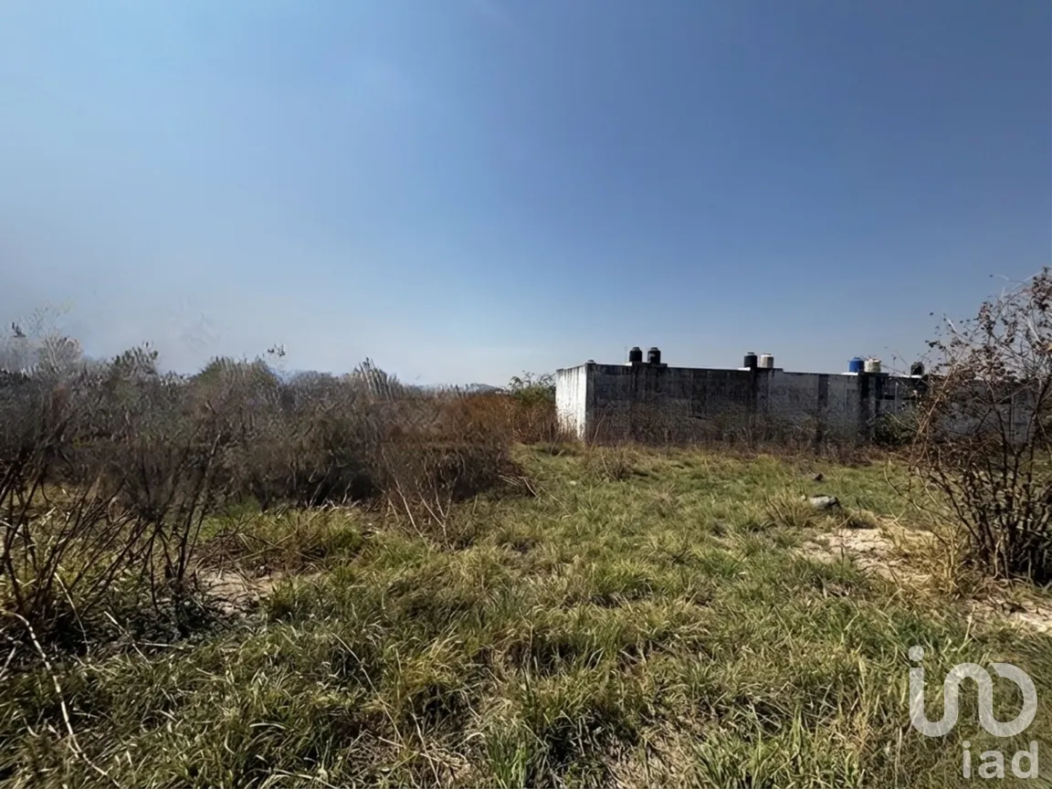 Terreno en Venta en Palo Escrito (Colonia Benito Juárez), Emiliano Zapata, Morelos | NEX-291824 | iad México | Foto 2 de 12