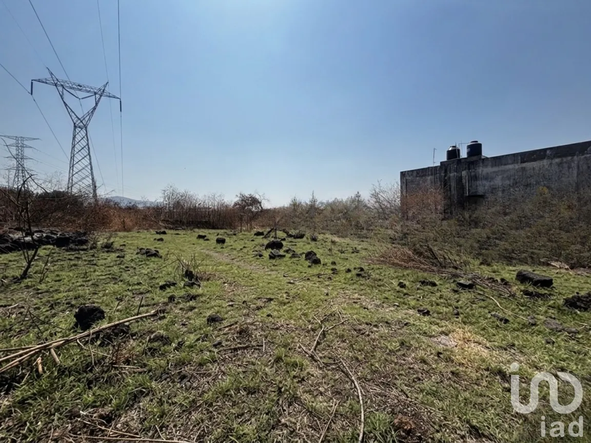 Terreno en Venta en Palo Escrito (Colonia Benito Juárez), Emiliano Zapata, Morelos | NEX-291824 | iad México | Foto 12 de 12