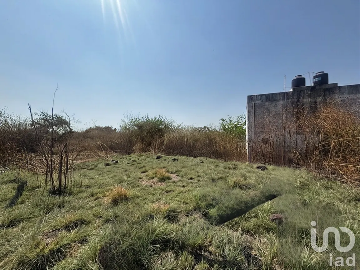 Terreno en Venta en Palo Escrito (Colonia Benito Juárez), Emiliano Zapata, Morelos | NEX-291824 | iad México | Foto 7 de 12