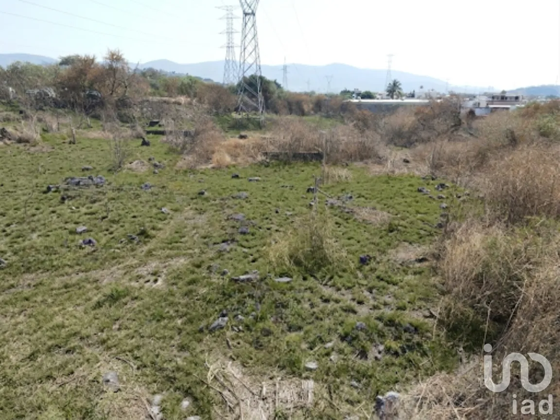 Terreno en Venta en Palo Escrito (Colonia Benito Juárez), Emiliano Zapata, Morelos | NEX-291824 | iad México | Foto 9 de 12