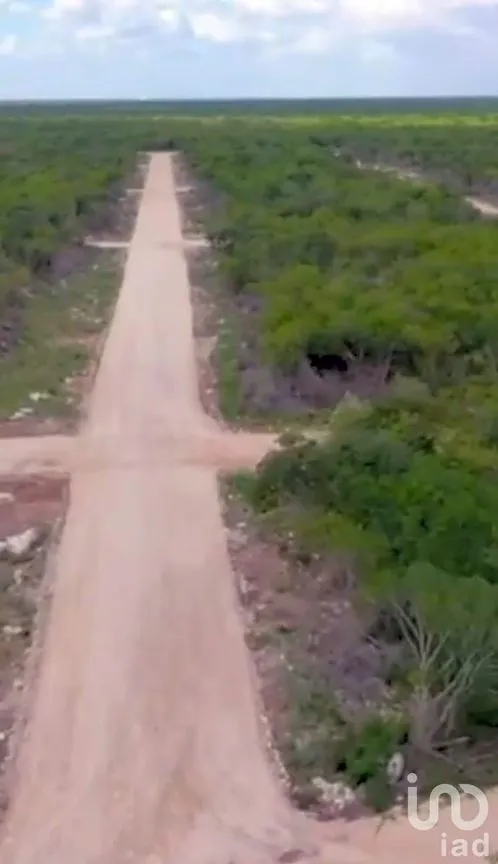 Terreno en Venta en Chicxulub, Chicxulub Pueblo, Yucatán | NEX-245196 | iad México | Foto 6 de 7