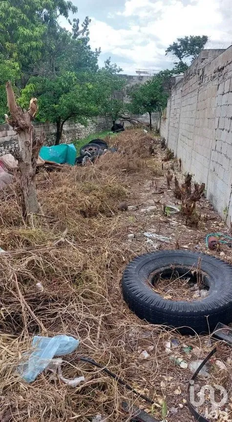 Terreno en Venta en Jacinto Canek, Mérida, Yucatán | NEX-246869 | iad México | Foto 3 de 3