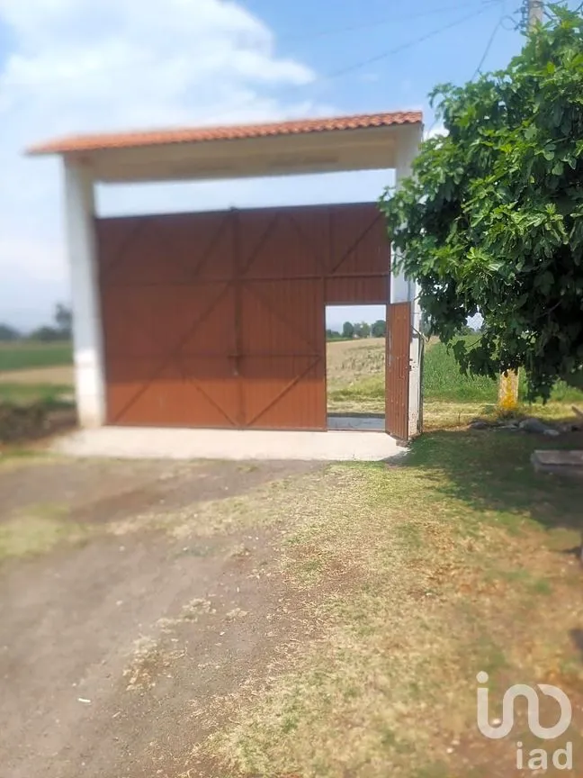 Rancho en Venta en San Juan Tuxco, San Martín Texmelucan, Puebla | NEX-248749 | iad México | Foto 3 de 14
