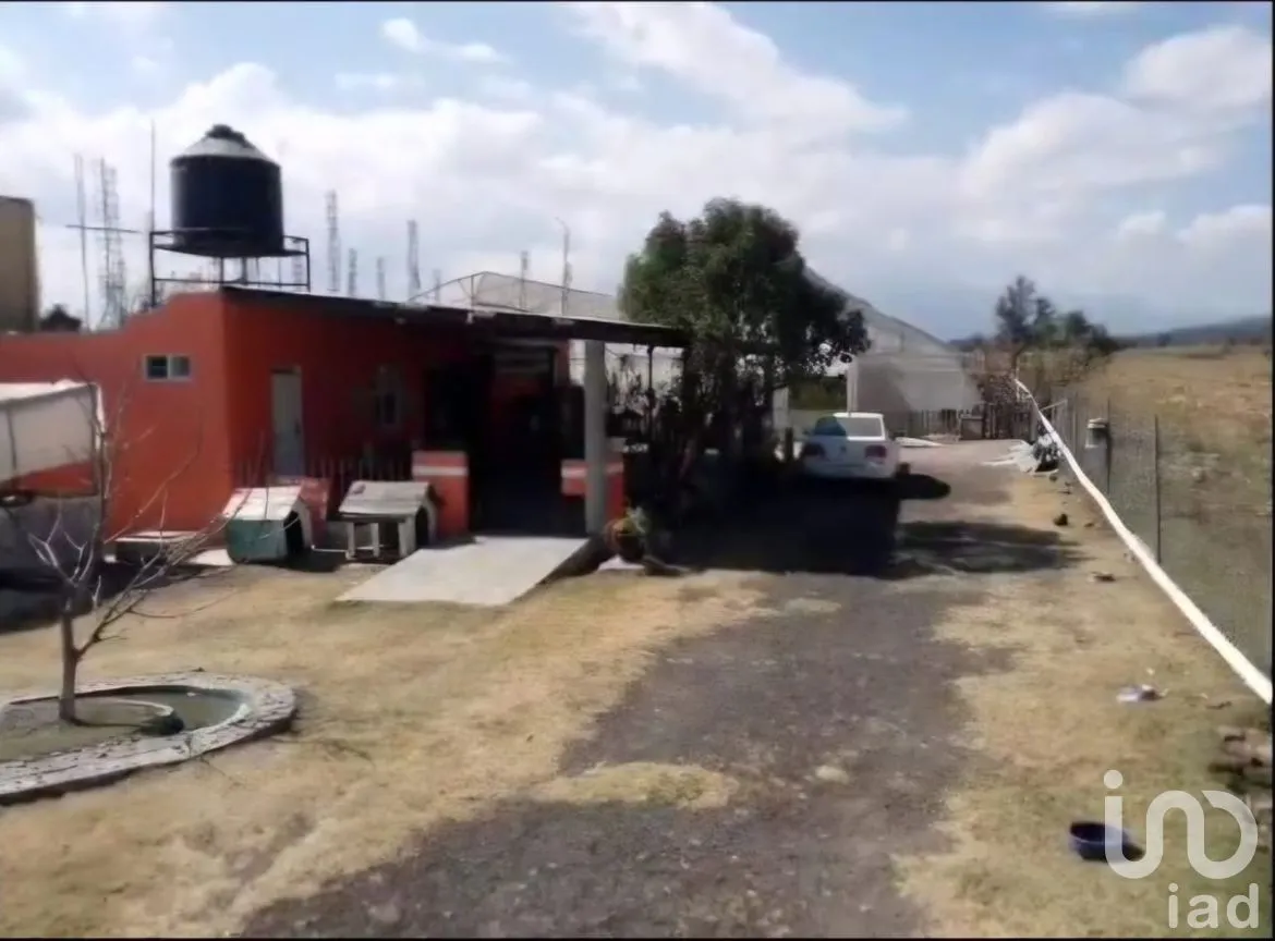 Rancho en Venta en San Juan Tuxco, San Martín Texmelucan, Puebla | NEX-248749 | iad México | Foto 6 de 14