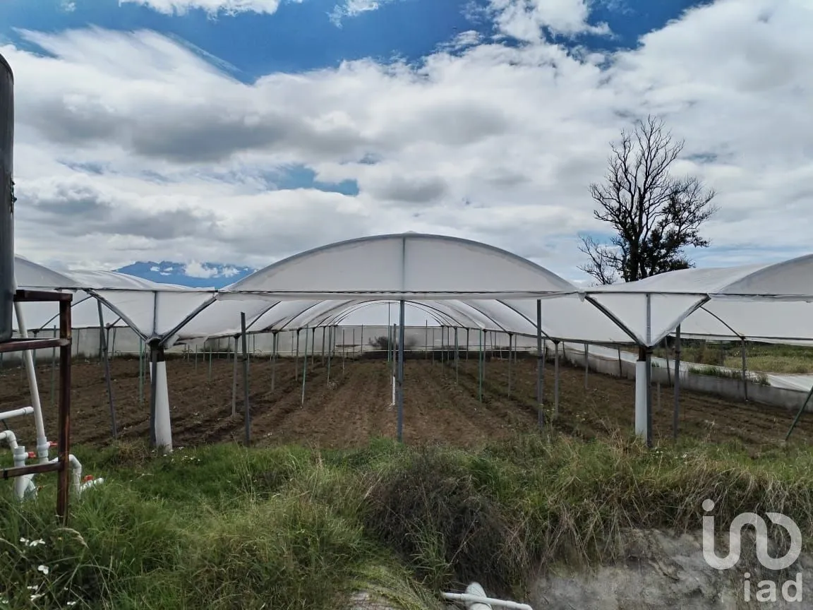 Rancho en Venta en San Juan Tuxco, San Martín Texmelucan, Puebla | NEX-248749 | iad México | Foto 10 de 14