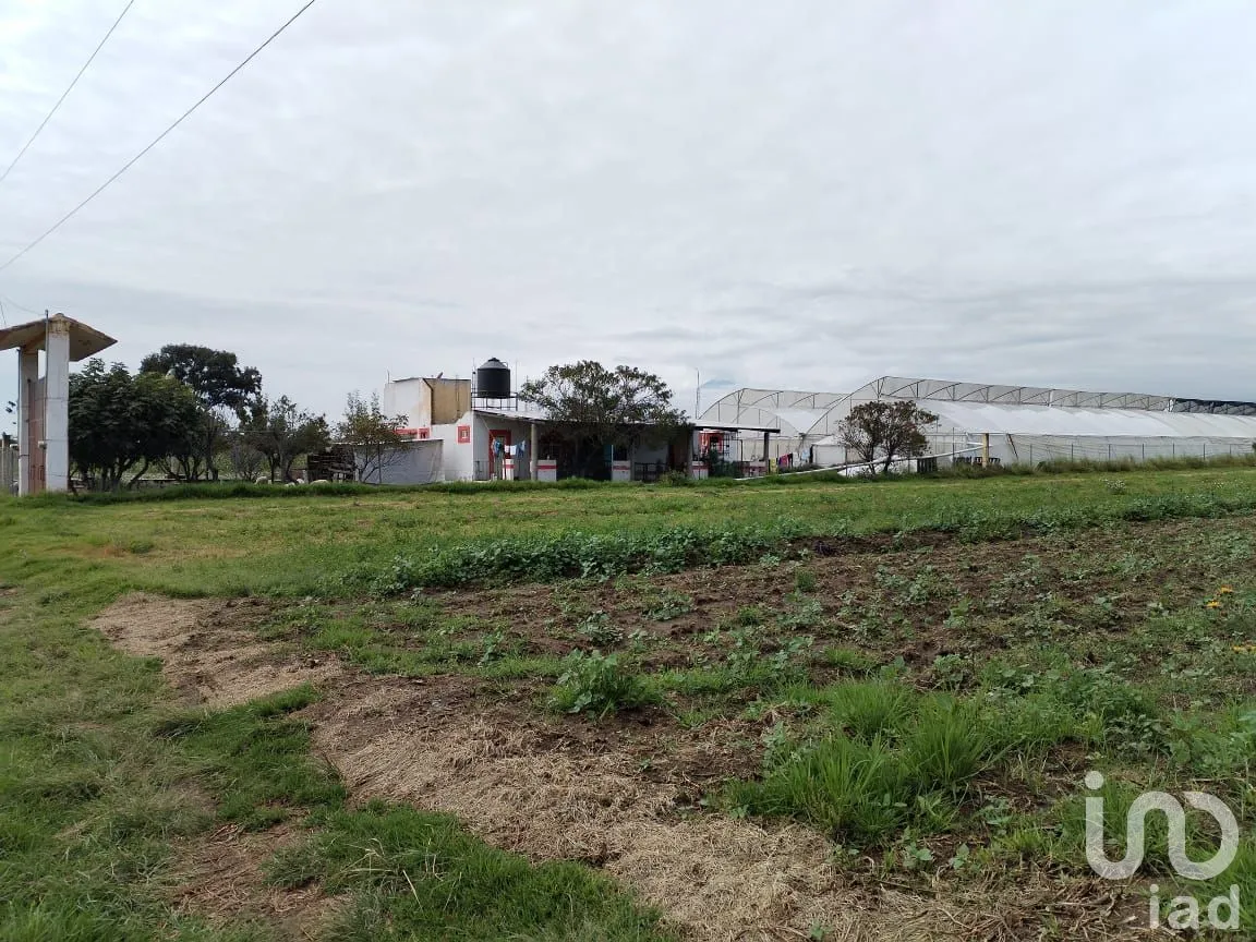 Rancho en Venta en San Juan Tuxco, San Martín Texmelucan, Puebla | NEX-248749 | iad México | Foto 3 de 14