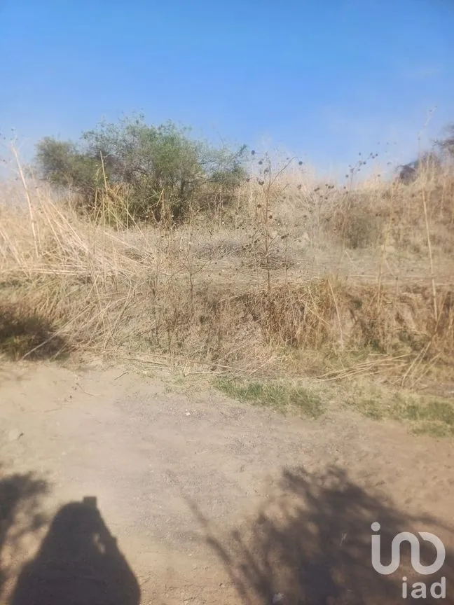 Terreno en Venta en San Cristóbal Tepatlaxco, San Martín Texmelucan, Puebla | NEX-252280 | iad México | Foto 2 de 9