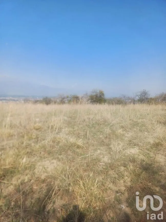 Terreno en Venta en San Cristóbal Tepatlaxco, San Martín Texmelucan, Puebla | NEX-252280 | iad México | Foto 3 de 9