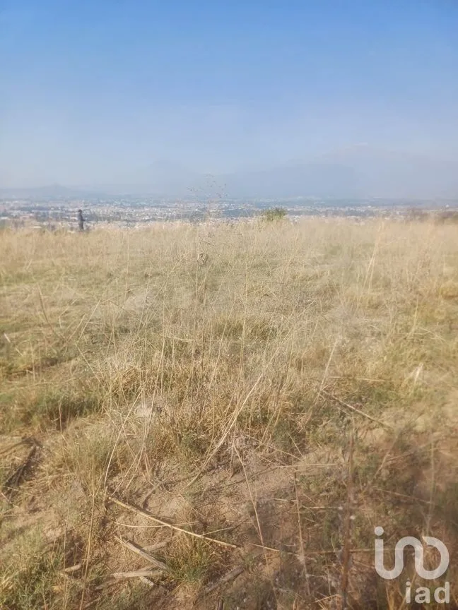 Terreno en Venta en San Cristóbal Tepatlaxco, San Martín Texmelucan, Puebla | NEX-252280 | iad México | Foto 4 de 9