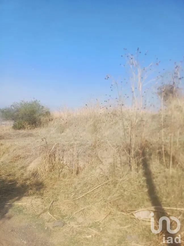Terreno en Venta en San Cristóbal Tepatlaxco, San Martín Texmelucan, Puebla | NEX-252280 | iad México | Foto 5 de 9