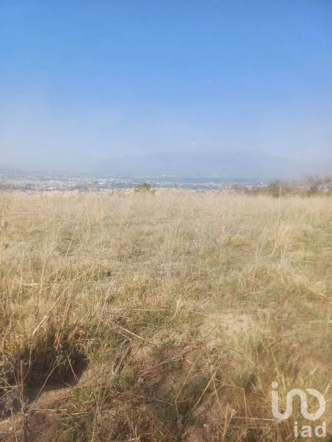 Terreno en Venta en San Cristóbal Tepatlaxco, San Martín Texmelucan, Puebla | NEX-252280 | iad México | Foto 6 de 9