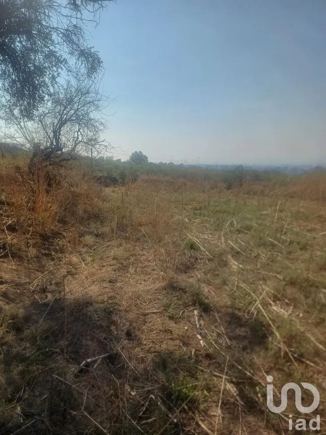 Terreno en Venta en San Cristóbal Tepatlaxco, San Martín Texmelucan, Puebla | NEX-252280 | iad México | Foto 7 de 9