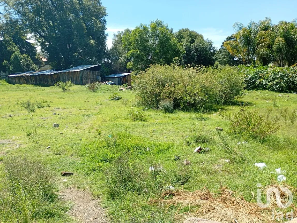 Terreno en Venta en San Isidro, San Martín Texmelucan, Puebla | NEX-254872 | iad México | Foto 4 de 11