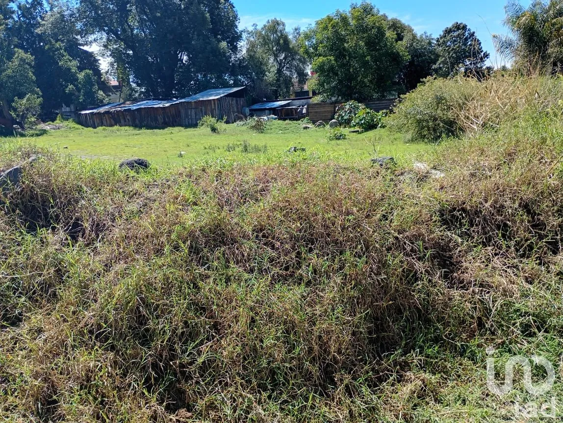Terreno en Venta en San Isidro, San Martín Texmelucan, Puebla | NEX-254872 | iad México | Foto 6 de 11