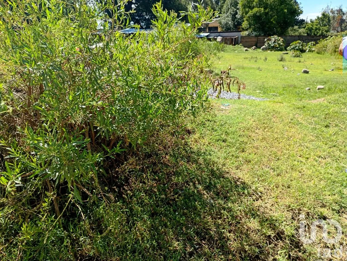 Terreno en Venta en San Isidro, San Martín Texmelucan, Puebla | NEX-254872 | iad México | Foto 7 de 11