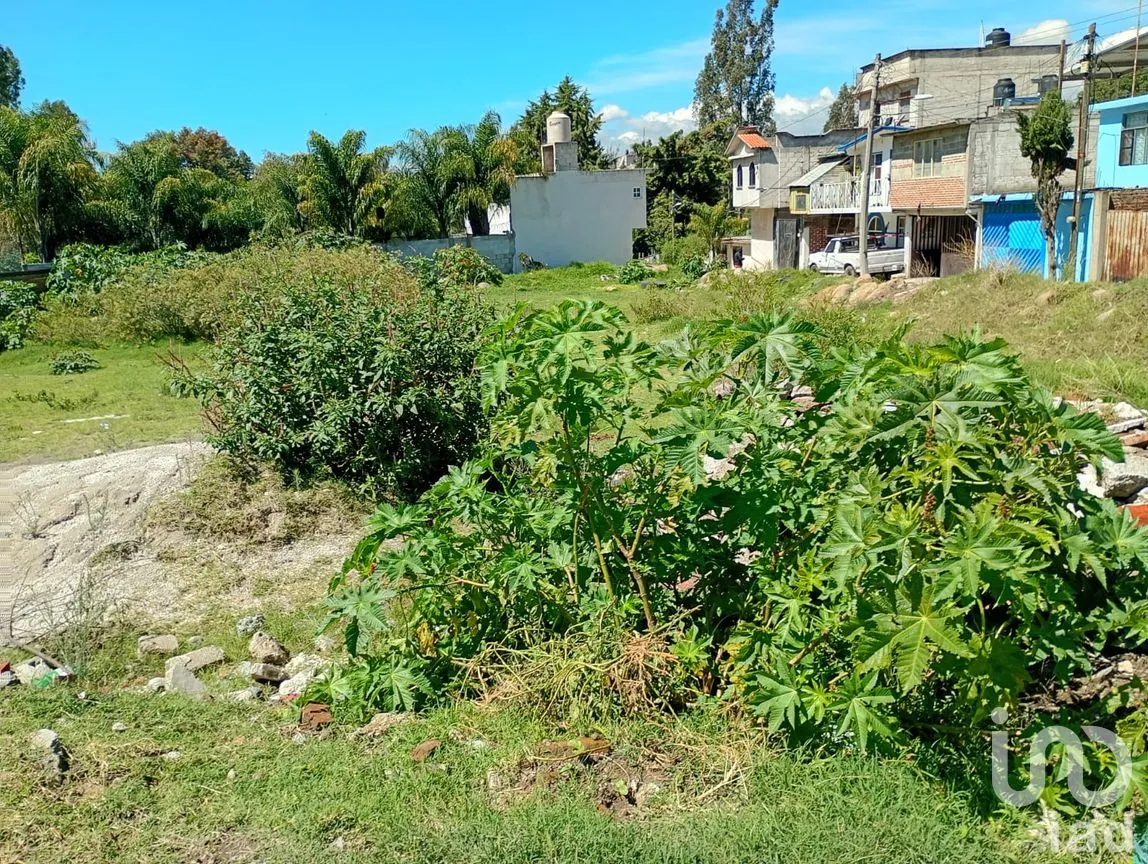 Terreno en Venta en San Isidro, San Martín Texmelucan, Puebla | NEX-254872 | iad México | Foto 8 de 11