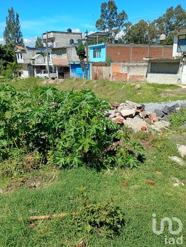 Terreno en Venta en San Isidro, San Martín Texmelucan, Puebla | NEX-254872 | iad México | Foto 10 de 11