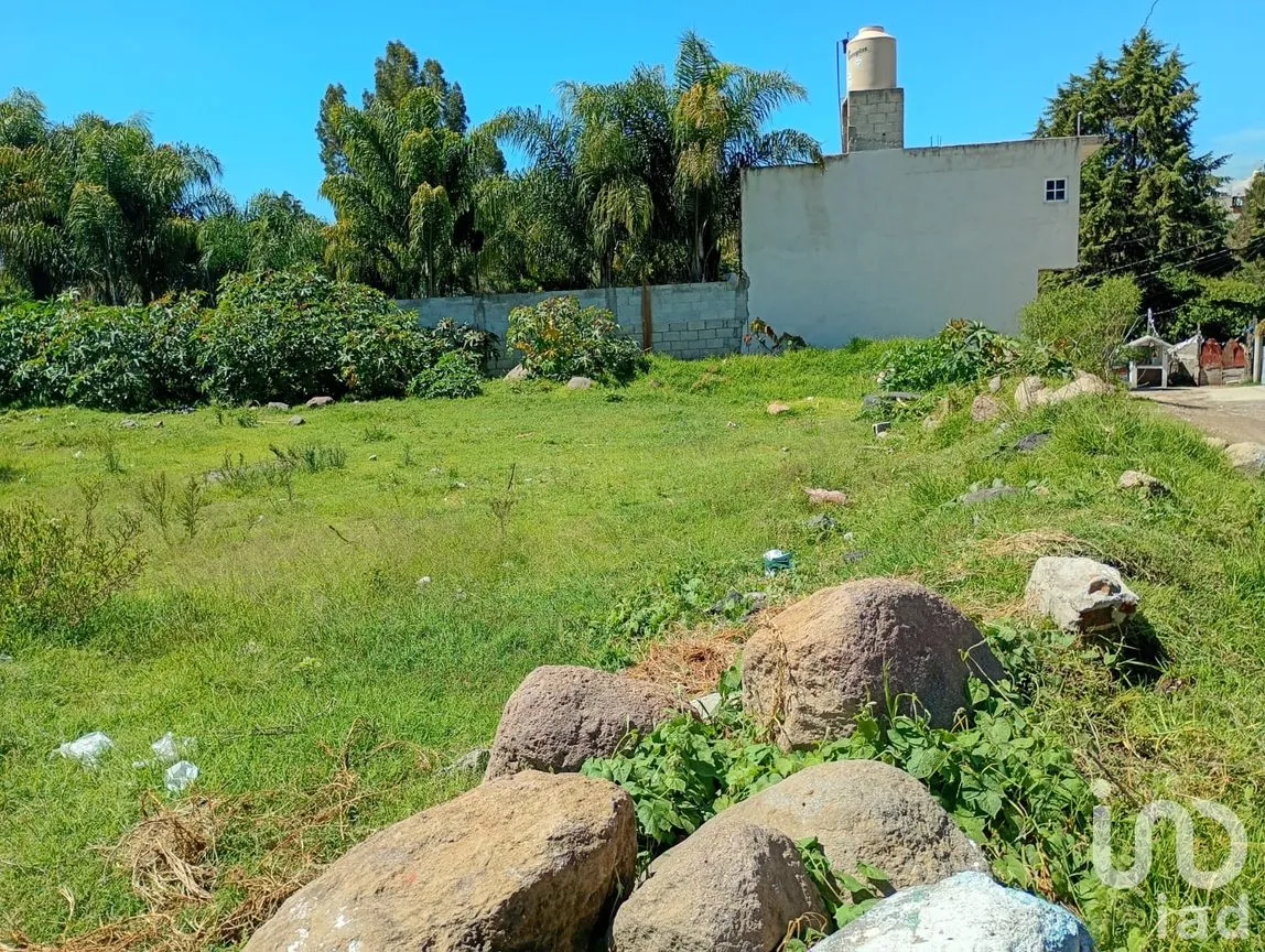 Terreno en Venta en San Isidro, San Martín Texmelucan, Puebla | NEX-254872 | iad México | Foto 1 de 11