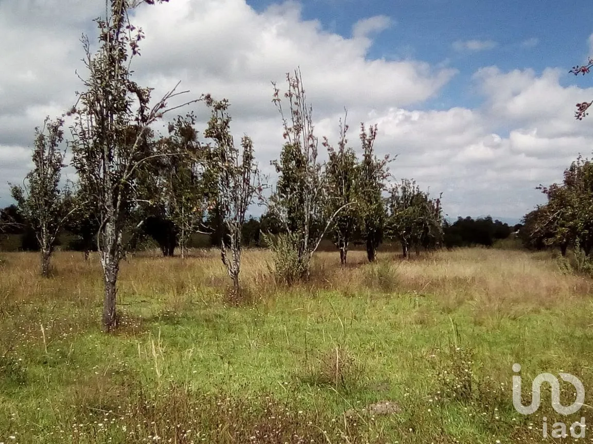 Terreno en Venta en Analco de Ponciano Arriaga (Santa Cruz Analco), San Salvador el Verde, Puebla | NEX-254876 | iad México | Foto 2 de 13