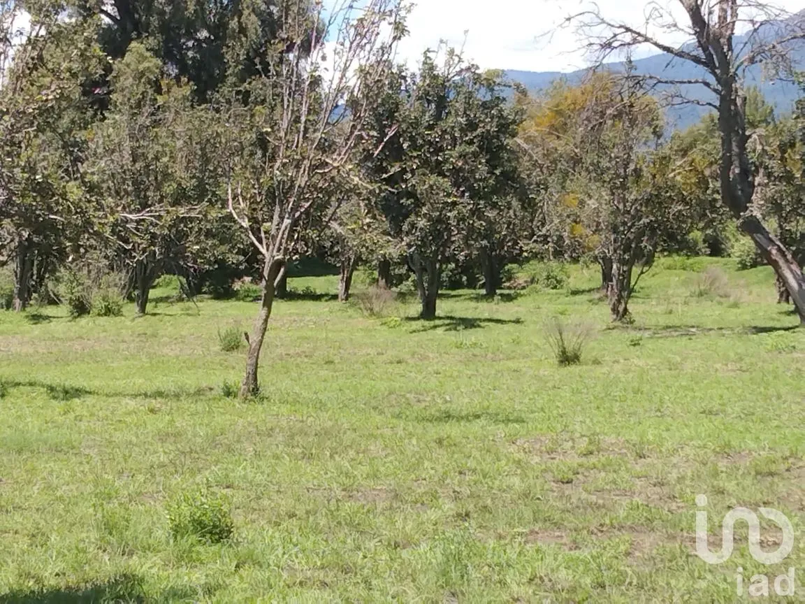 Terreno en Venta en Analco de Ponciano Arriaga (Santa Cruz Analco), San Salvador el Verde, Puebla | NEX-254876 | iad México | Foto 12 de 13