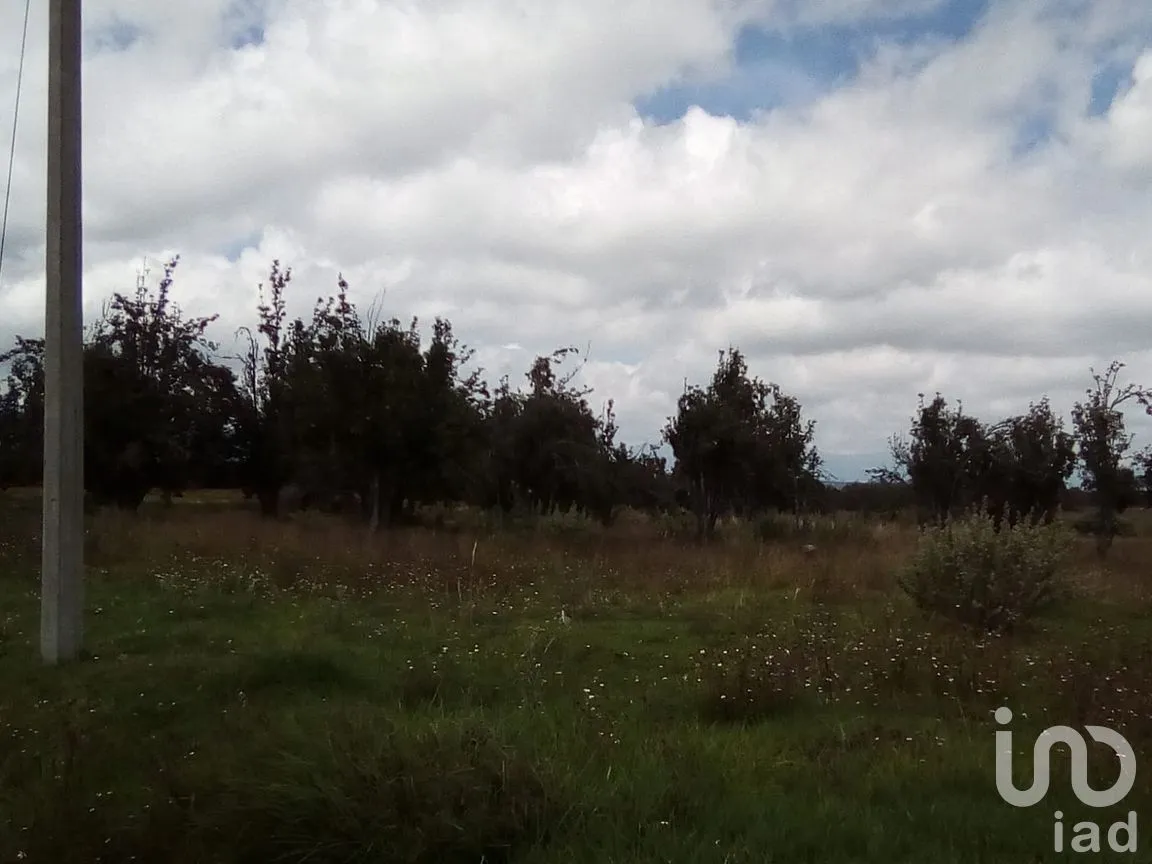 Terreno en Venta en Analco de Ponciano Arriaga (Santa Cruz Analco), San Salvador el Verde, Puebla | NEX-254876 | iad México | Foto 3 de 13