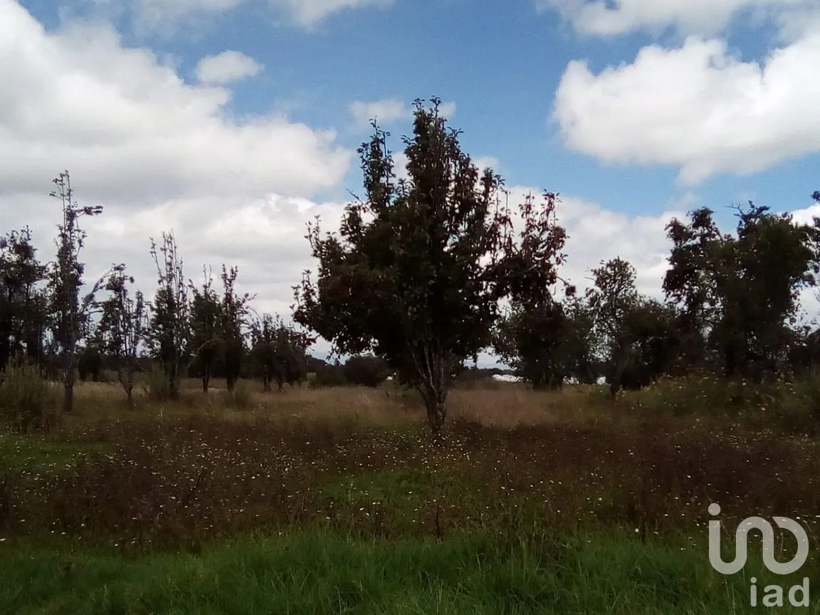Terreno en Venta en Analco de Ponciano Arriaga (Santa Cruz Analco), San Salvador el Verde, Puebla | NEX-254876 | iad México | Foto 7 de 13