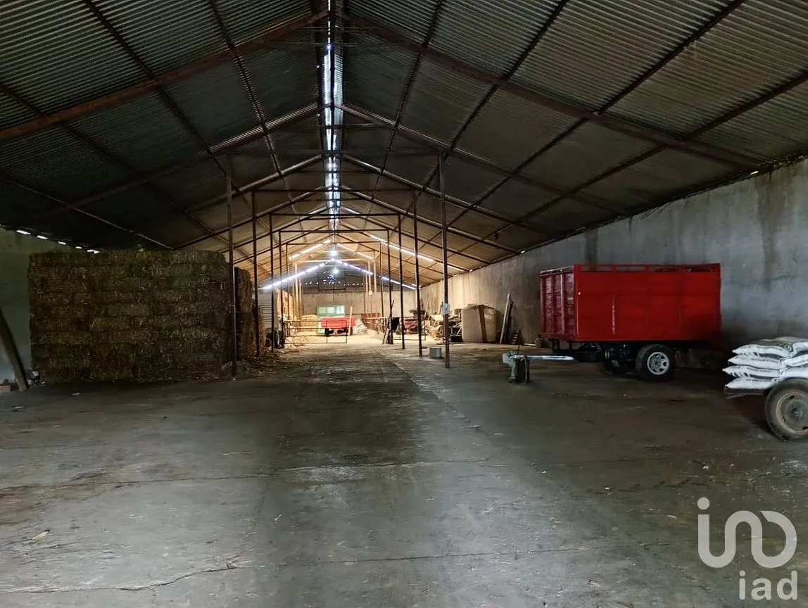 Bodega en Renta en Alpotzonga de Lira y Ortega, Ixtacuixtla de Mariano Matamoros, Tlaxcala | NEX-255367 | iad México | Foto 2 de 11
