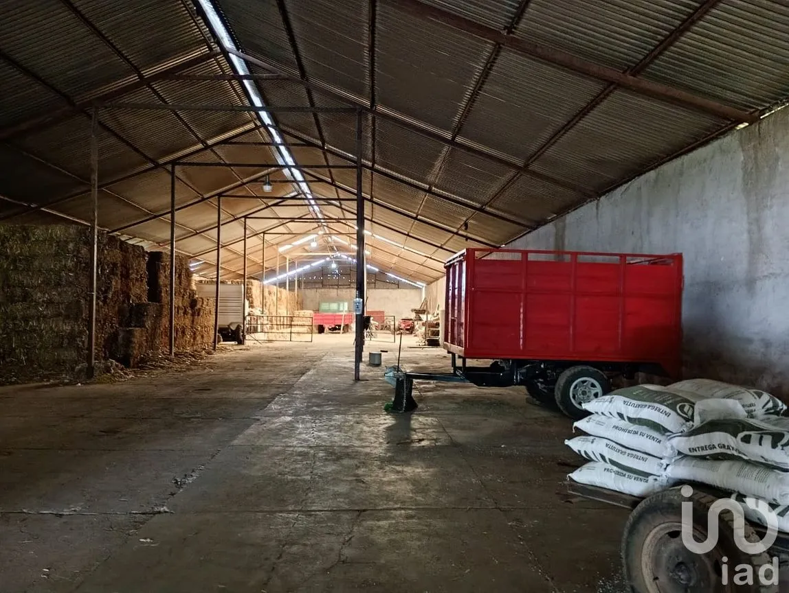 Bodega en Renta en Alpotzonga de Lira y Ortega, Ixtacuixtla de Mariano Matamoros, Tlaxcala | NEX-255367 | iad México | Foto 3 de 11
