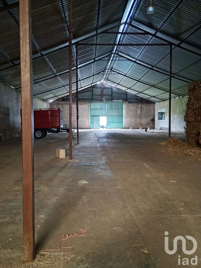 Bodega en Renta en Alpotzonga de Lira y Ortega, Ixtacuixtla de Mariano Matamoros, Tlaxcala | NEX-255367 | iad México | Foto 4 de 11