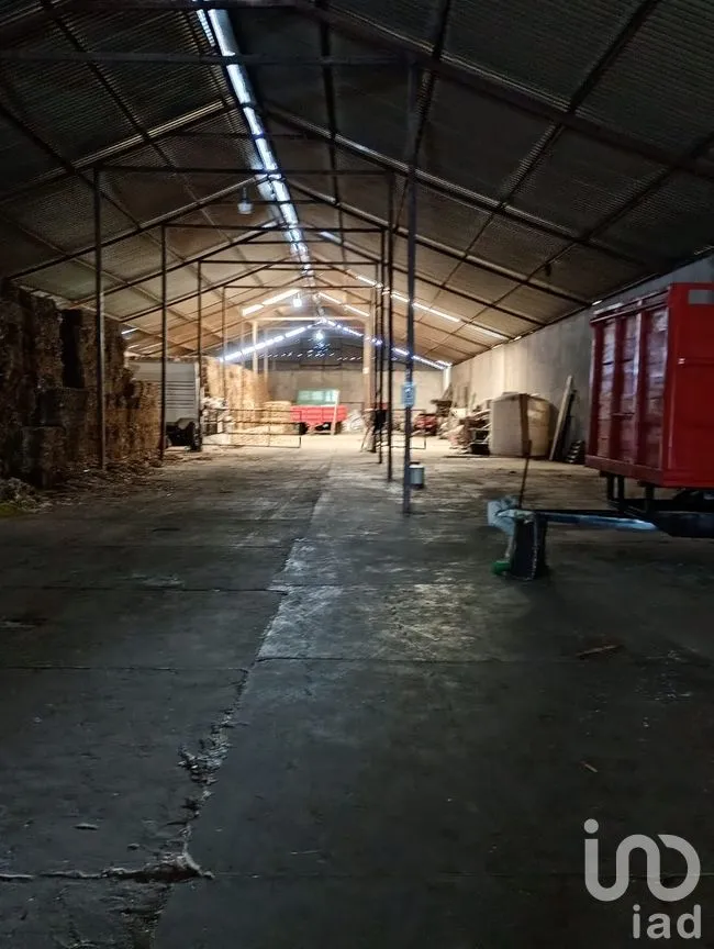 Bodega en Renta en Alpotzonga de Lira y Ortega, Ixtacuixtla de Mariano Matamoros, Tlaxcala | NEX-255367 | iad México | Foto 6 de 11