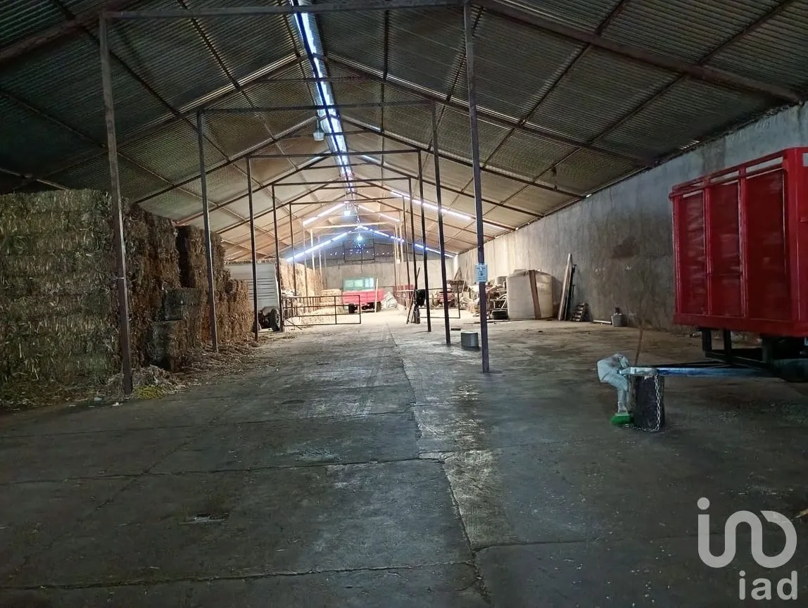 Bodega en Renta en Alpotzonga de Lira y Ortega, Ixtacuixtla de Mariano Matamoros, Tlaxcala | NEX-255367 | iad México | Foto 8 de 11
