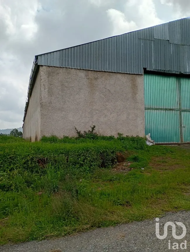 Bodega en Renta en Alpotzonga de Lira y Ortega, Ixtacuixtla de Mariano Matamoros, Tlaxcala | NEX-255367 | iad México | Foto 9 de 11