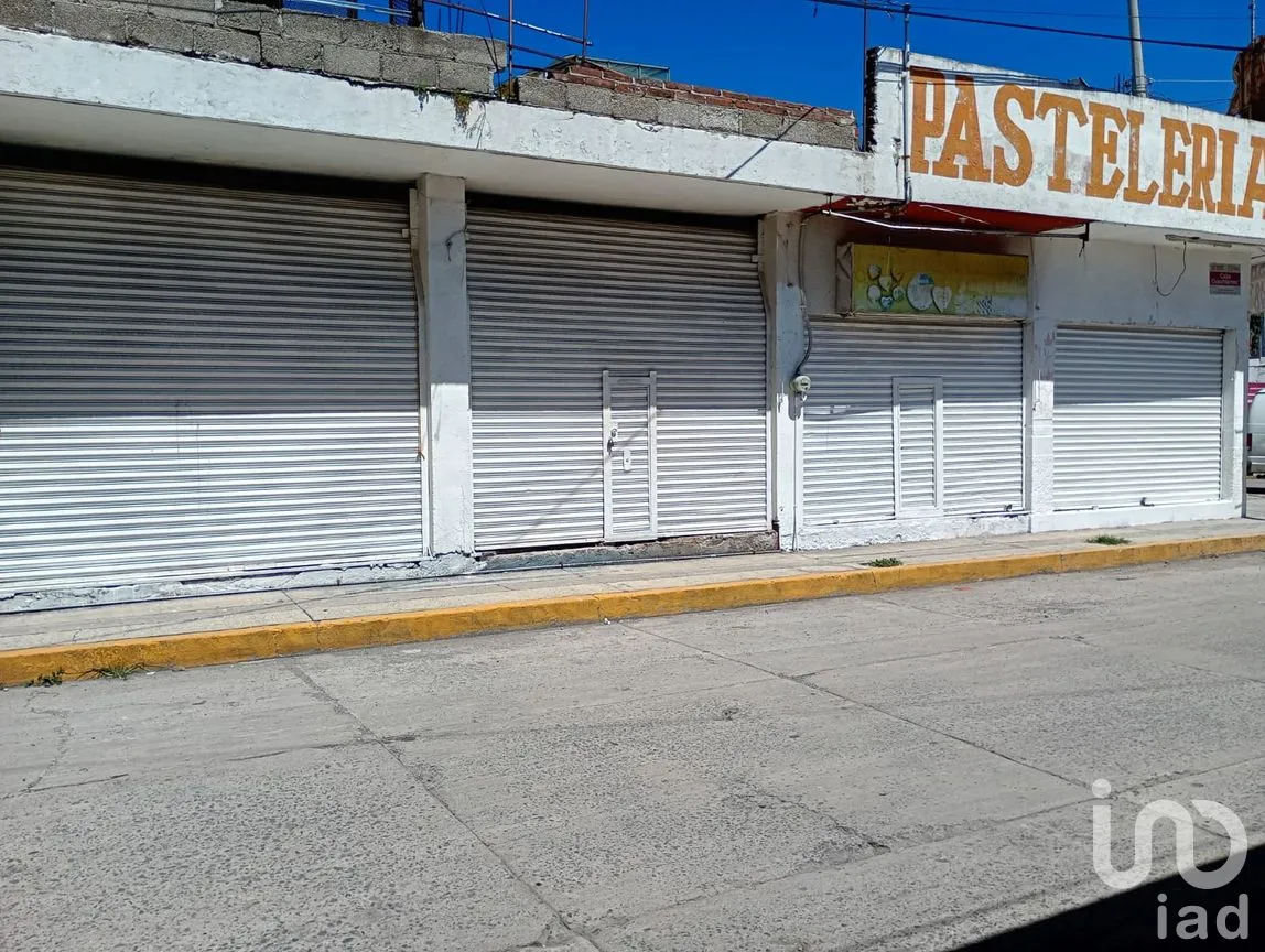 Local en Renta en Los Dicios, San Martín Texmelucan, Puebla | NEX-255575 | iad México | Foto 3 de 16