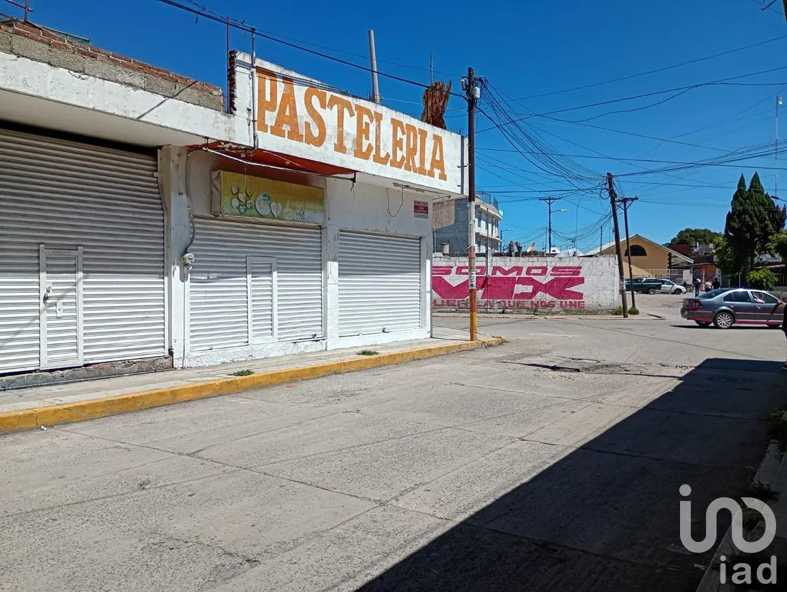 Local en Renta en Los Dicios, San Martín Texmelucan, Puebla | NEX-255575 | iad México | Foto 1 de 16