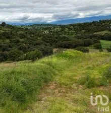 NEX-256752 - Terreno en Venta en Alpotzonga, CP 90130, Tlaxcala.