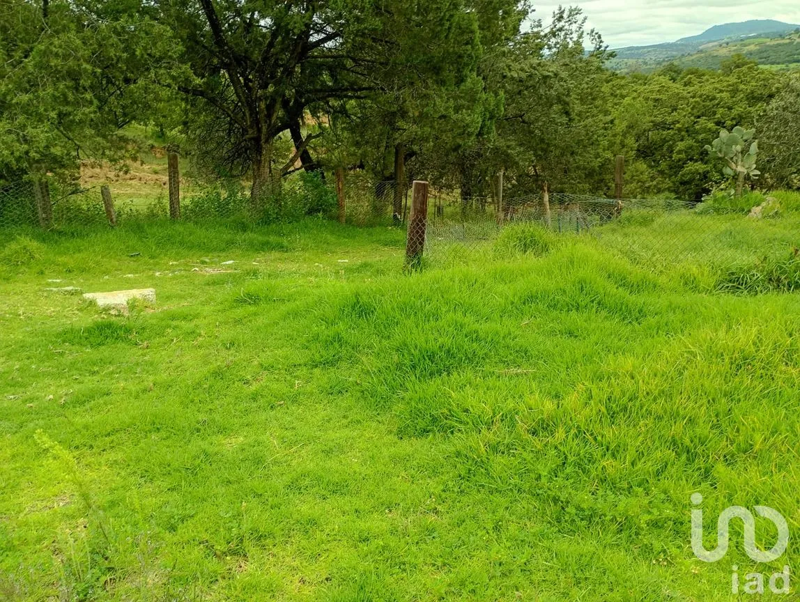Terreno en Venta en Alpotzonga, Ixtacuixtla de Mariano Matamoros, Tlaxcala | NEX-256991 | iad México | Foto 2 de 10